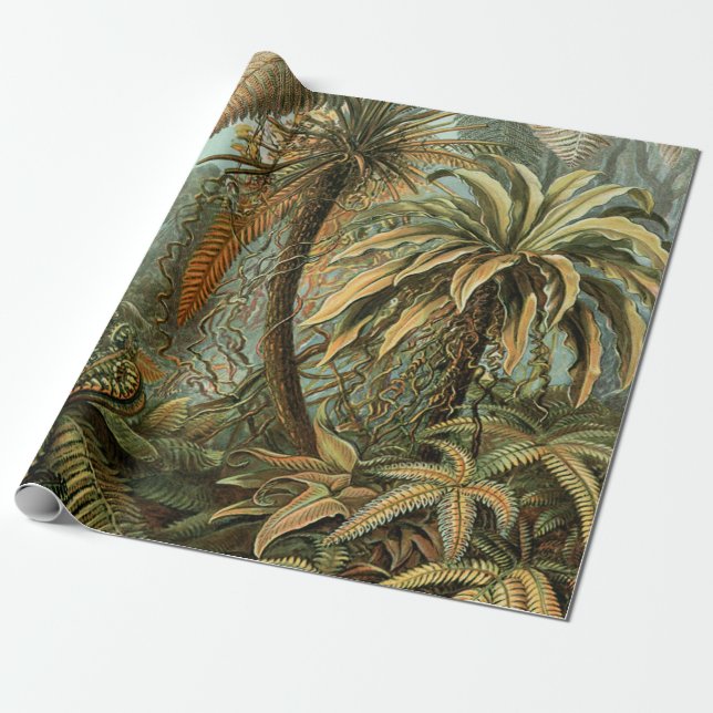 Papel De Presente Ferns Palm Tree Arte Botânica Antica (Desenrolado)
