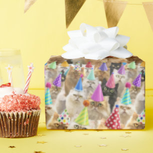 Papel De Presente Festa de Gatos