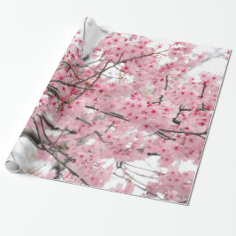 Papel De Presente Festival de primavera Hanami, Cherry Blossoms