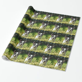 Papel De Presente Filhote de Bulldog Francês Preto e Branco