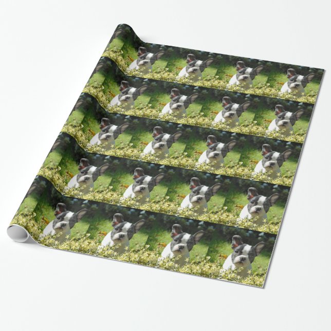 Papel De Presente Filhote de Bulldog Francês Preto e Branco (Desenrolado)