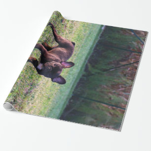Papel De Presente Filhote De Bulldog No Passeio De Grass.