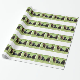 Papel De Presente Filhotes de cachorro australianos do Kelpie