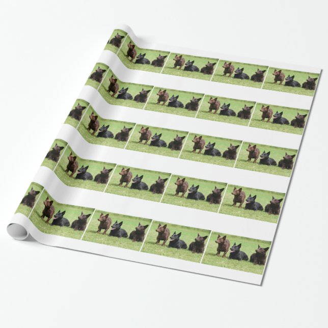 Papel De Presente Filhotes de cachorro australianos do Kelpie (Desenrolado)