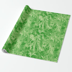 Papel De Presente Fir Forest