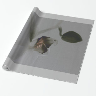 Papel De Presente Flor artística em tons cinzentos