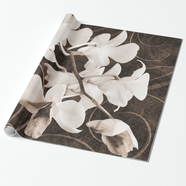 Papel De Presente Flor branco de cólula espinhal preta (Desenrolado)