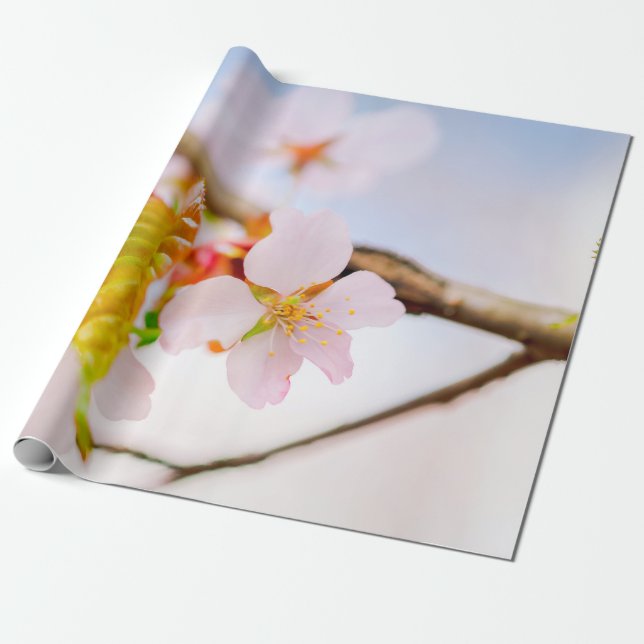 Papel De Presente Flor Charming Chic Sakura E Folhas Em Primavera (Desenrolado)