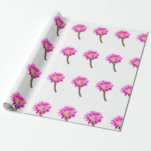 Papel De Presente Flor de cacto Pink Piazza em flor