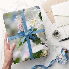 Papel De Presente Flor de cerejeira.