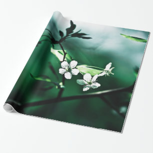 Papel De Presente Flor de Cerejeira Branca