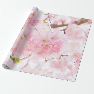 Papel De Presente Flor de cerejeira cor-de-rosa de Sakura da árvore