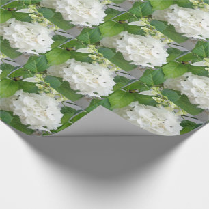 Papel De Presente Flor de Hortênsia Verde Branco Natureza Plantas de