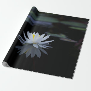 Papel De Presente Flor de Lótus Branca Zen