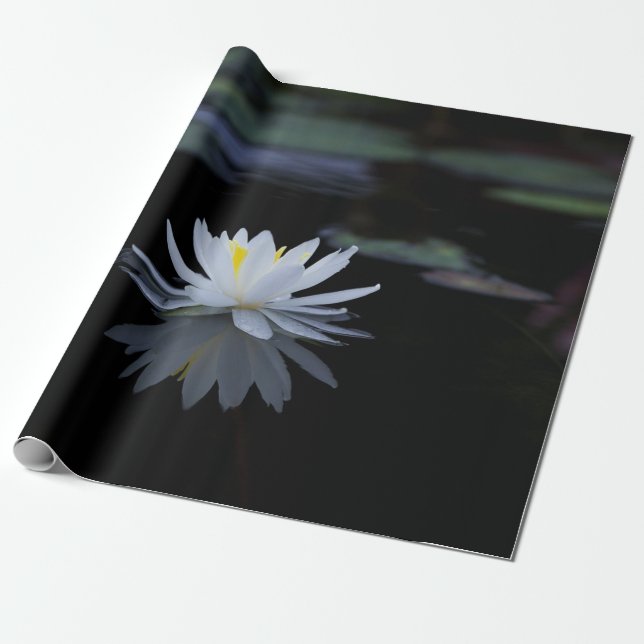 Papel De Presente Flor de Lótus Branca Zen (Desenrolado)