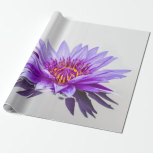 Papel De Presente Flor de Lótus Roxa Zen