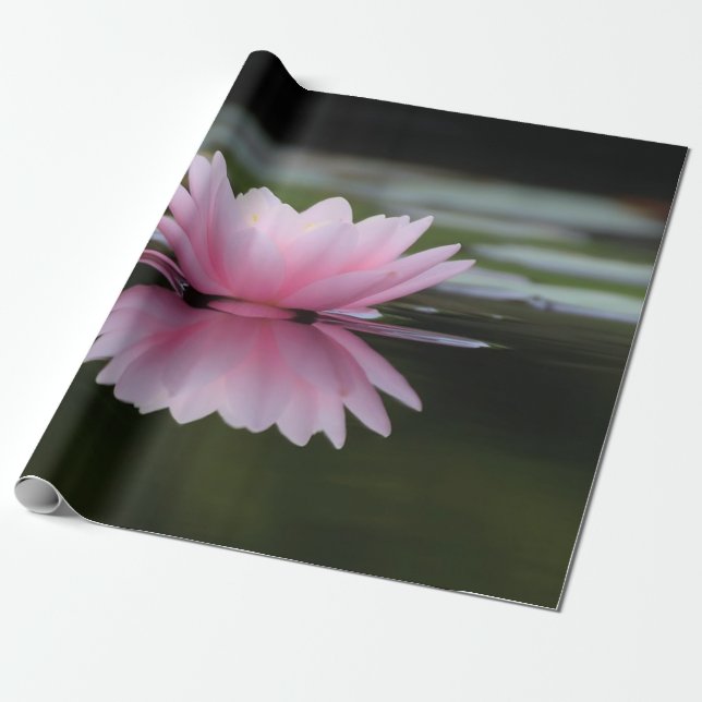 Papel De Presente Flor de Lótus, Zen (Desenrolado)