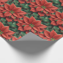 Flor de Natal Poinsettia design