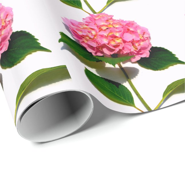 Papel De Presente Flor rosa-rosa-rosa-hidrangea-rosa (Ponta do rolo)