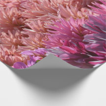 Flor roxa alaranjada moderna da dália do rosa de