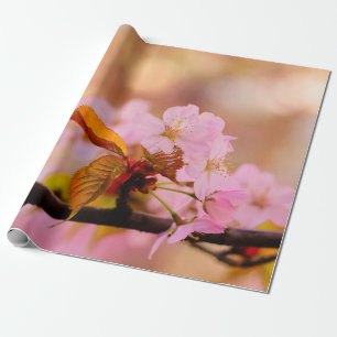 Papel De Presente Flor Sakura Rosa Bonita Em Springtime