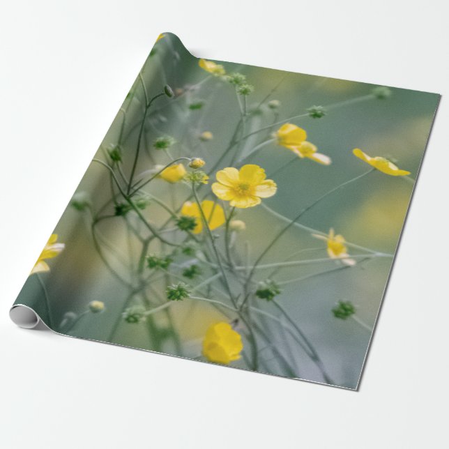 Papel De Presente Flores amarelas dos botões de ouro (Desenrolado)