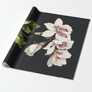 Papel De Presente Flores brancas e cor-de-rosa em preto