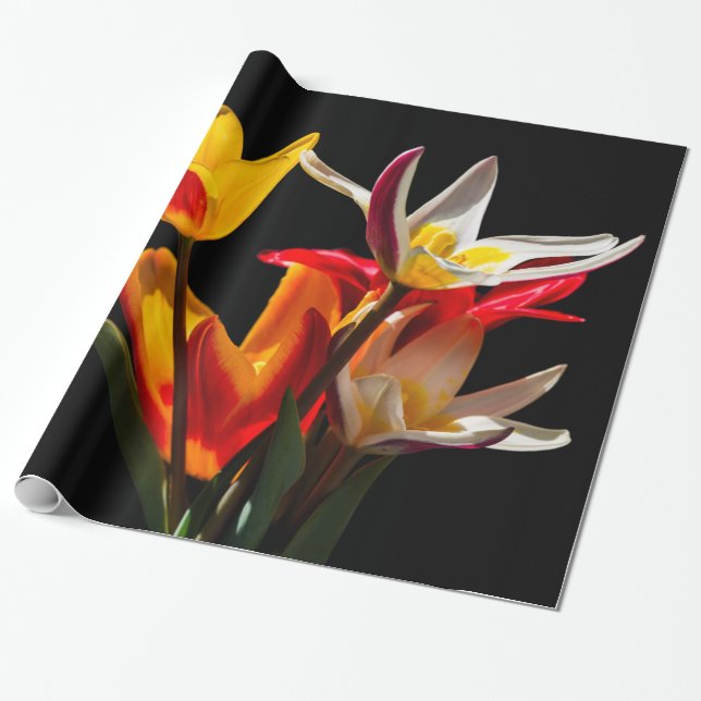 Papel De Presente Flores de chicote contra fundo preto (Desenrolado)