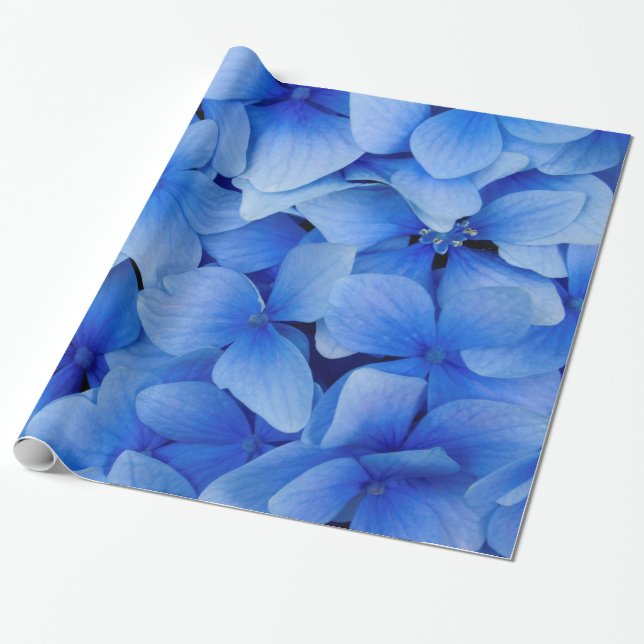 Papel De Presente Flores de Hydrangea Azul (Desenrolado)