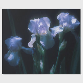 Papel De Presente Flores de Íris ao Crepúsculo