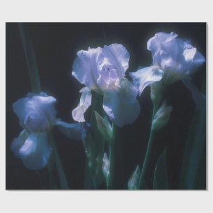Papel De Presente Flores de Íris ao Crepúsculo