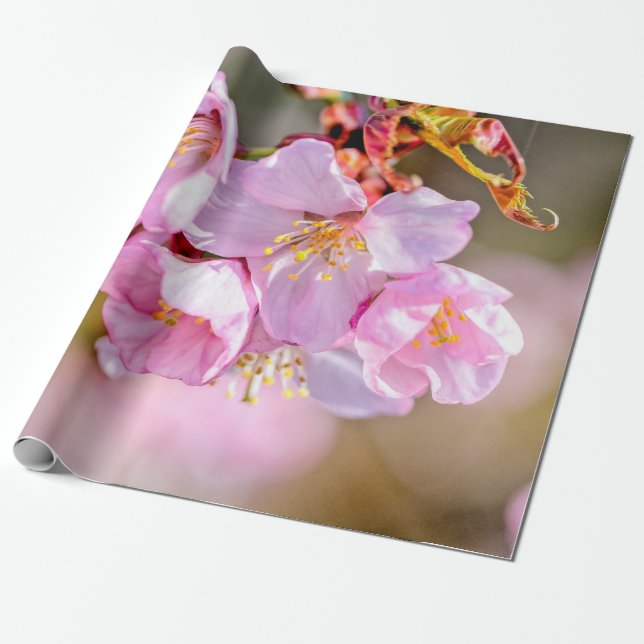Papel De Presente Flores De Sakura Encantadoras E Legal (Desenrolado)