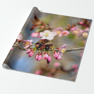 Papel De Presente Flores De Sakura, Frescas E Roxos