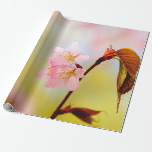 Papel De Presente Flores De Sakura Rosa E Folhas Vermelhas