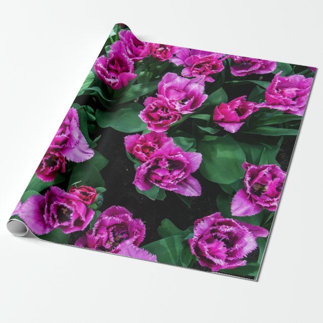 Papel De Presente Flores de tulipas rosa (Desenrolado)