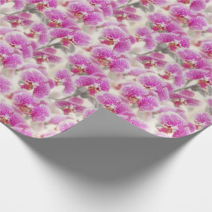 Papel De Presente Flores Rosa Orquídeas