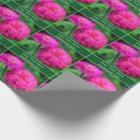 Flores Rosa Zinnia Personalizadas