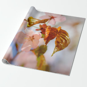 Papel De Presente Flores Sakura E Folhas De Laranja