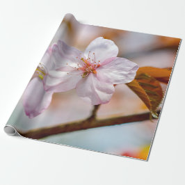 Papel De Presente Flores Sakura E Folhas De Laranja Em Springtime