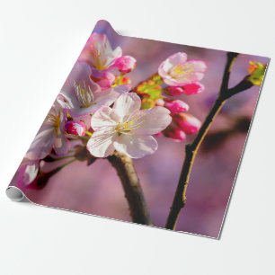 Papel De Presente Flores Sakura Frescas No Jardim