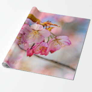 Papel De Presente Flores Sakura Luxuosas No Jardim Da Primavera