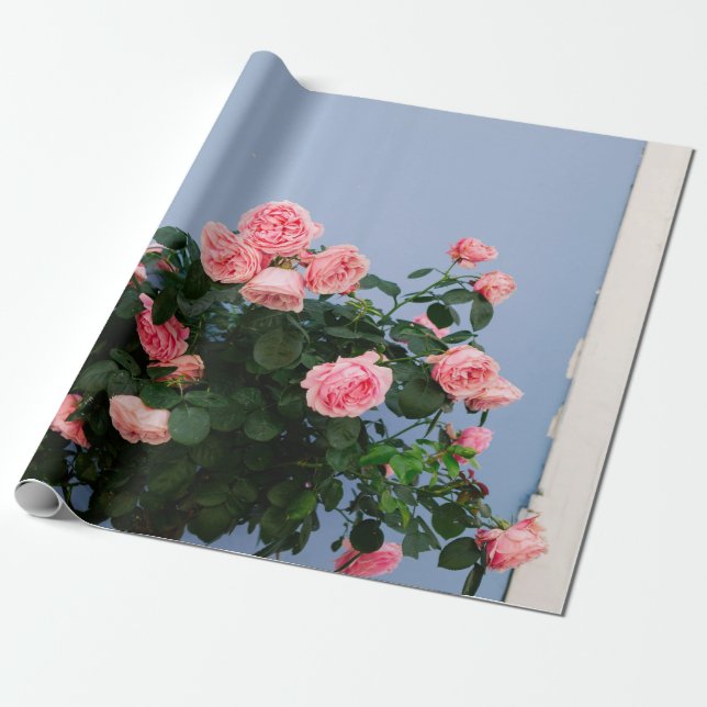 Papel De Presente Flores vermelhas com folhas verdes na parede azul (Desenrolado)
