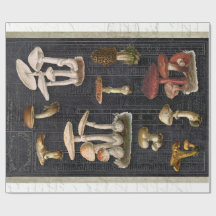 Floresta Cogumelos Algodão Ephemera Black Decoupag