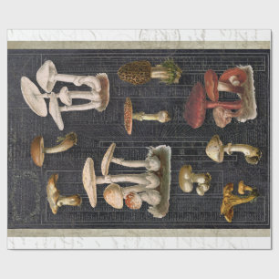 Papel De Presente Floresta Cogumelos Algodão Ephemera Black Decoupag