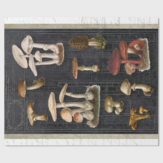 Papel De Presente Floresta Cogumelos Algodão Ephemera Black Decoupag (Aberto)