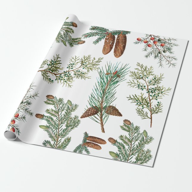 Papel De Presente Floresta de Conífer de Pinho de Natal Festiva (Desenrolado)