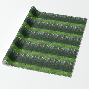 Papel De Presente Floresta de Verão Densa: Panorama Paisagista.