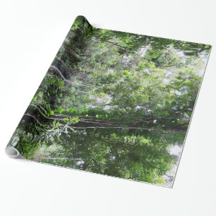 Papel De Presente Floresta húmida havaiana
