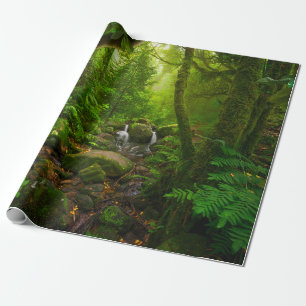 Papel De Presente floresta tropical asiática, floresta, ambiente