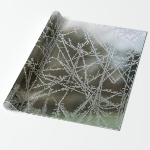 Papel De Presente Foco seletivo dos flocos de neve